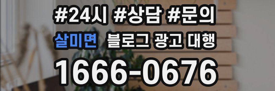 살미면 블로그 광고 대행