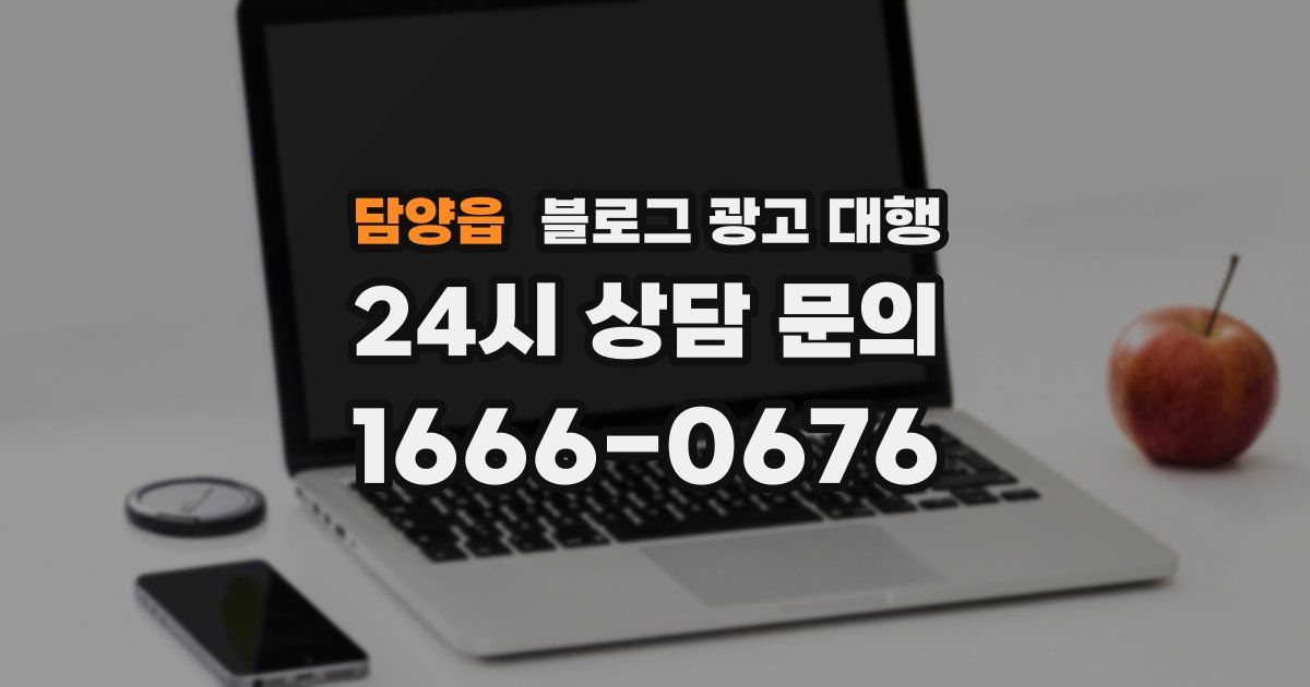 담양읍 블로그 광고 대행