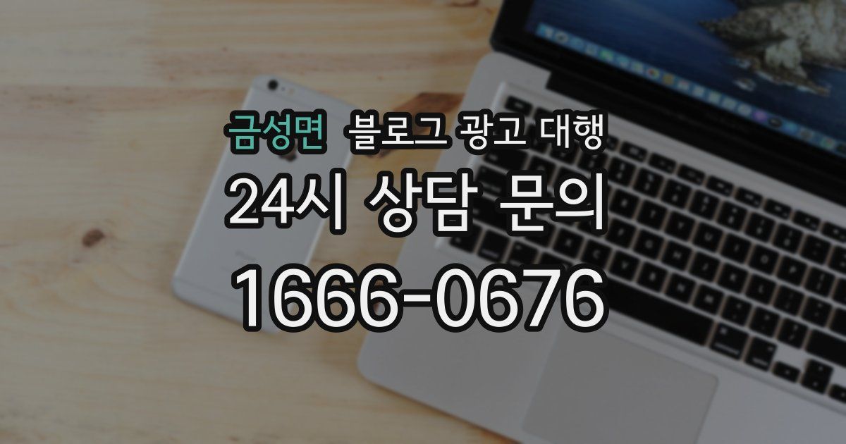 금성면 블로그 광고 대행