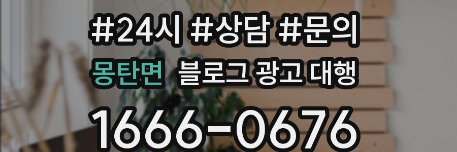 몽탄면 블로그 광고 대행