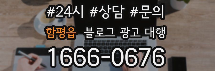 함평읍 블로그 광고 대행