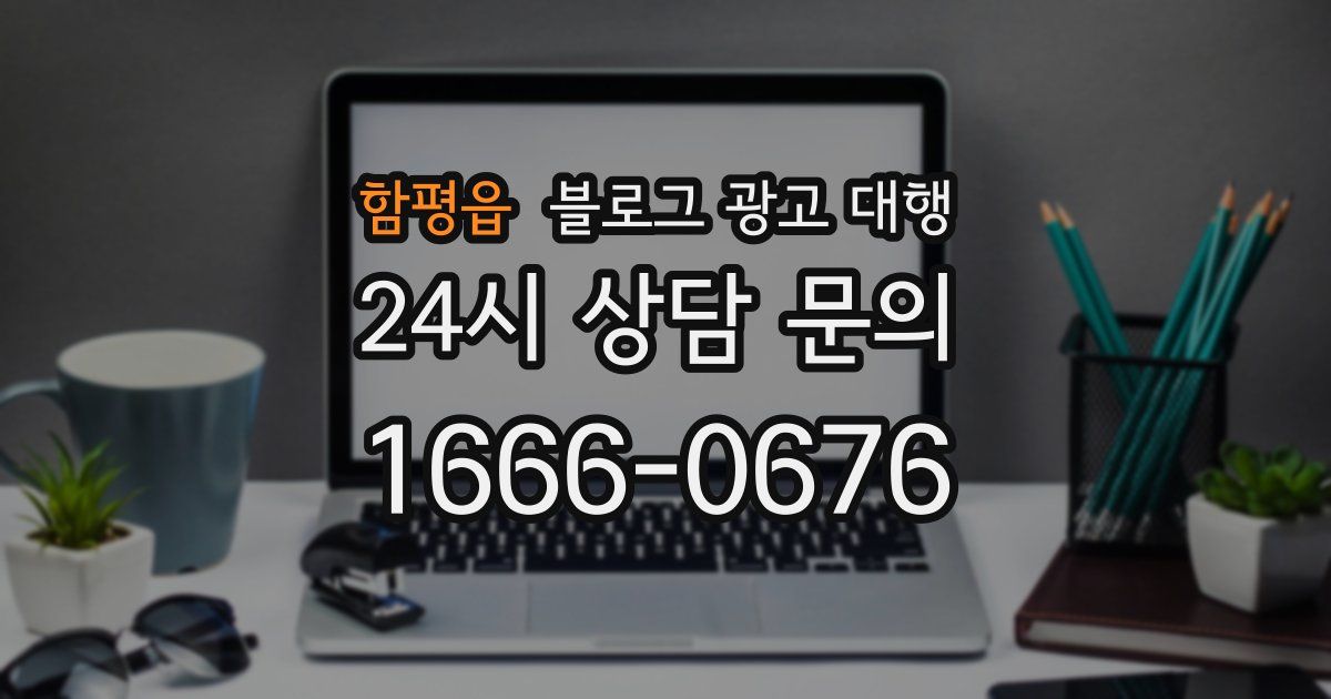 함평읍 블로그 광고 대행