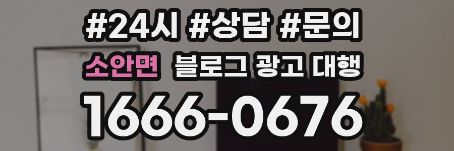 소안면 블로그 광고 대행