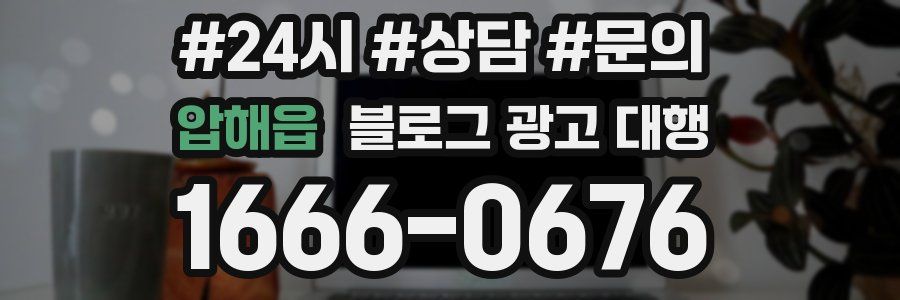압해읍 블로그 광고 대행