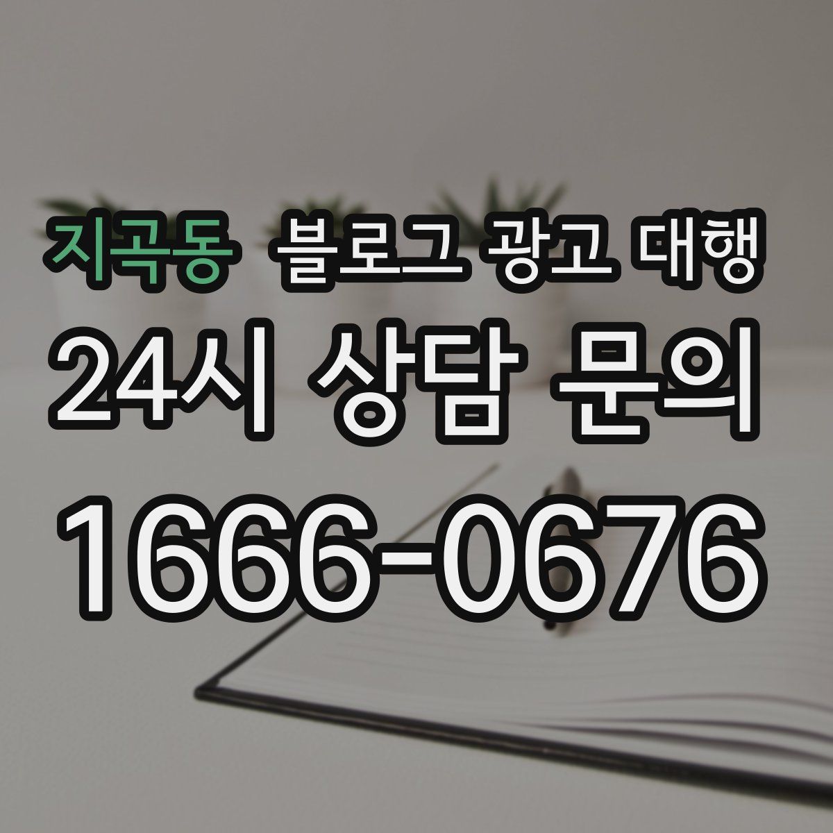 지곡동 블로그 광고 대행