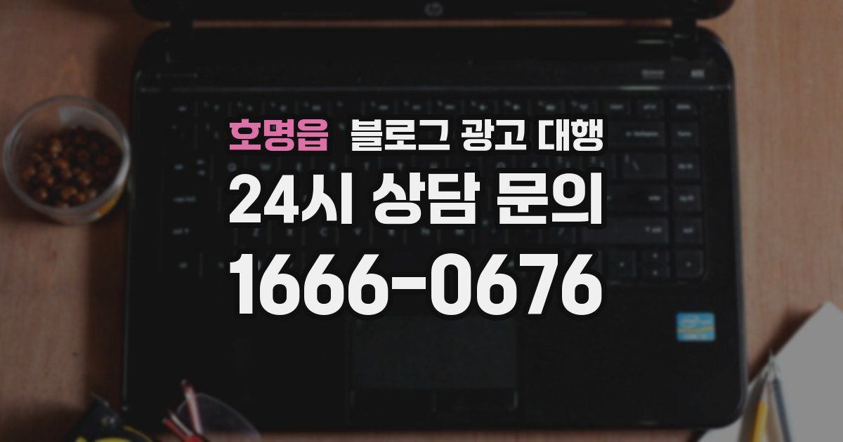 호명읍 블로그 광고 대행
