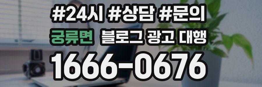 궁류면 블로그 광고 대행