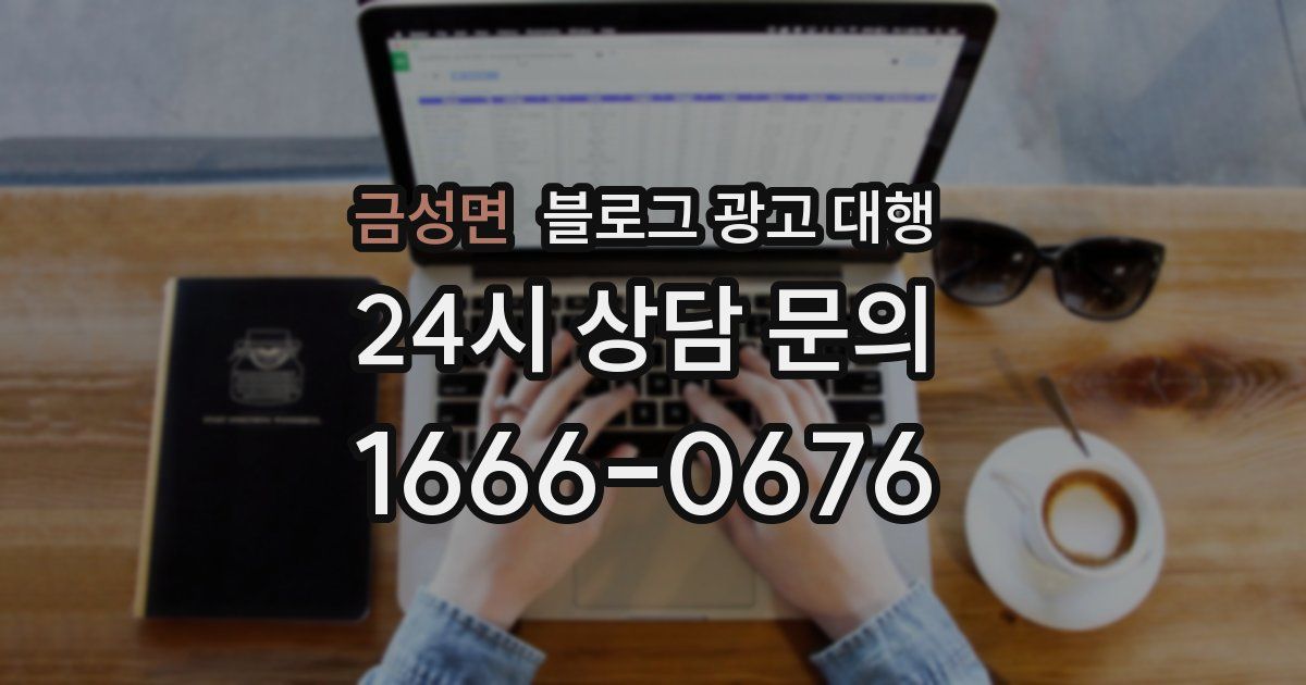 금성면 블로그 광고 대행