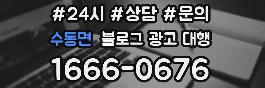 수동면 블로그 광고 대행