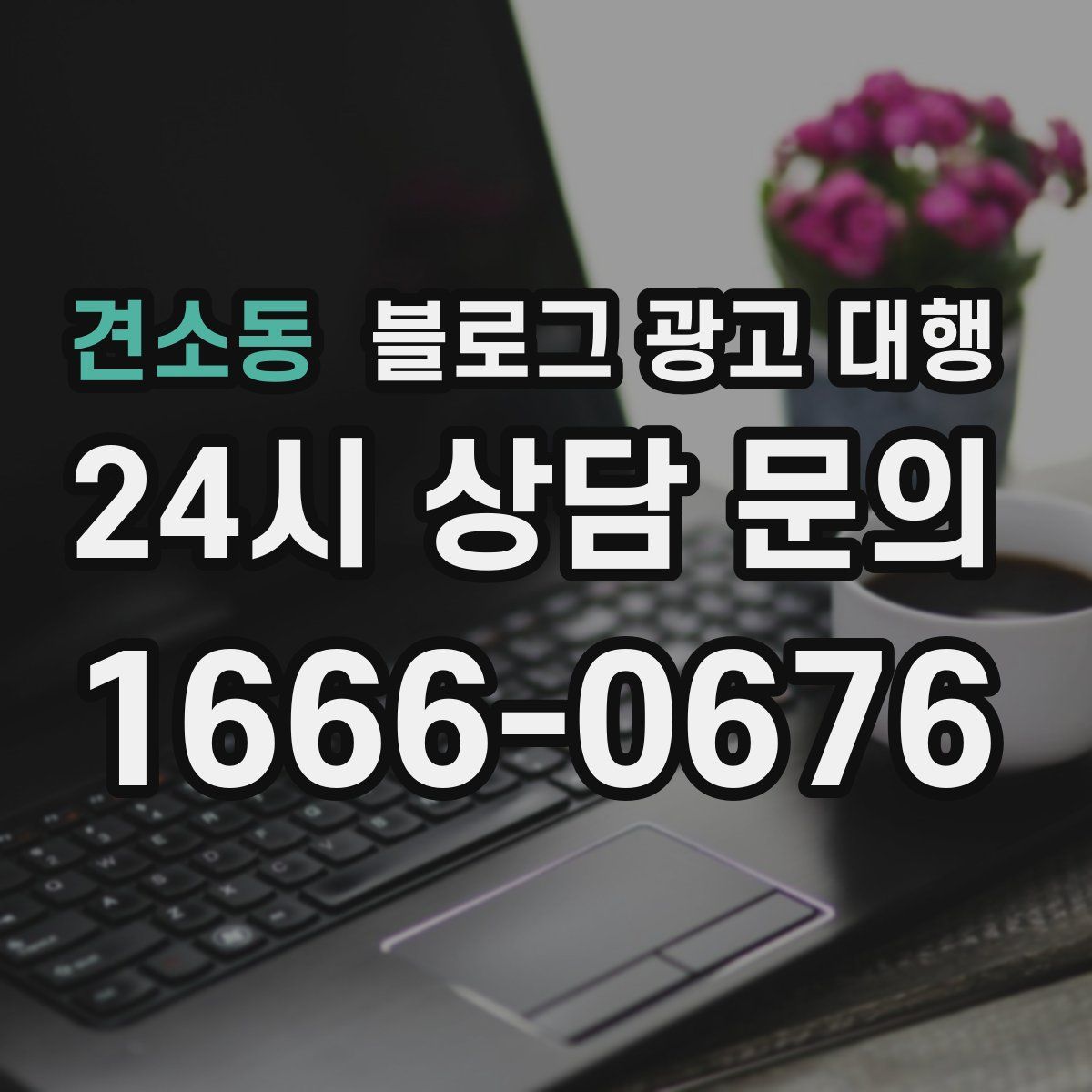견소동 블로그 광고 대행