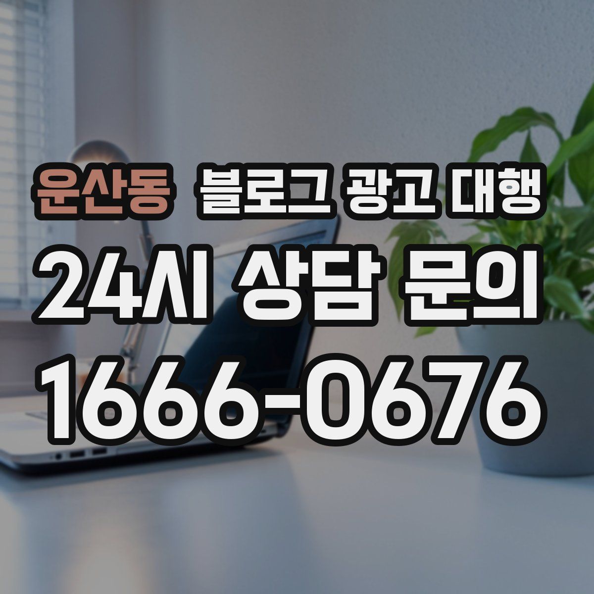 운산동 블로그 광고 대행