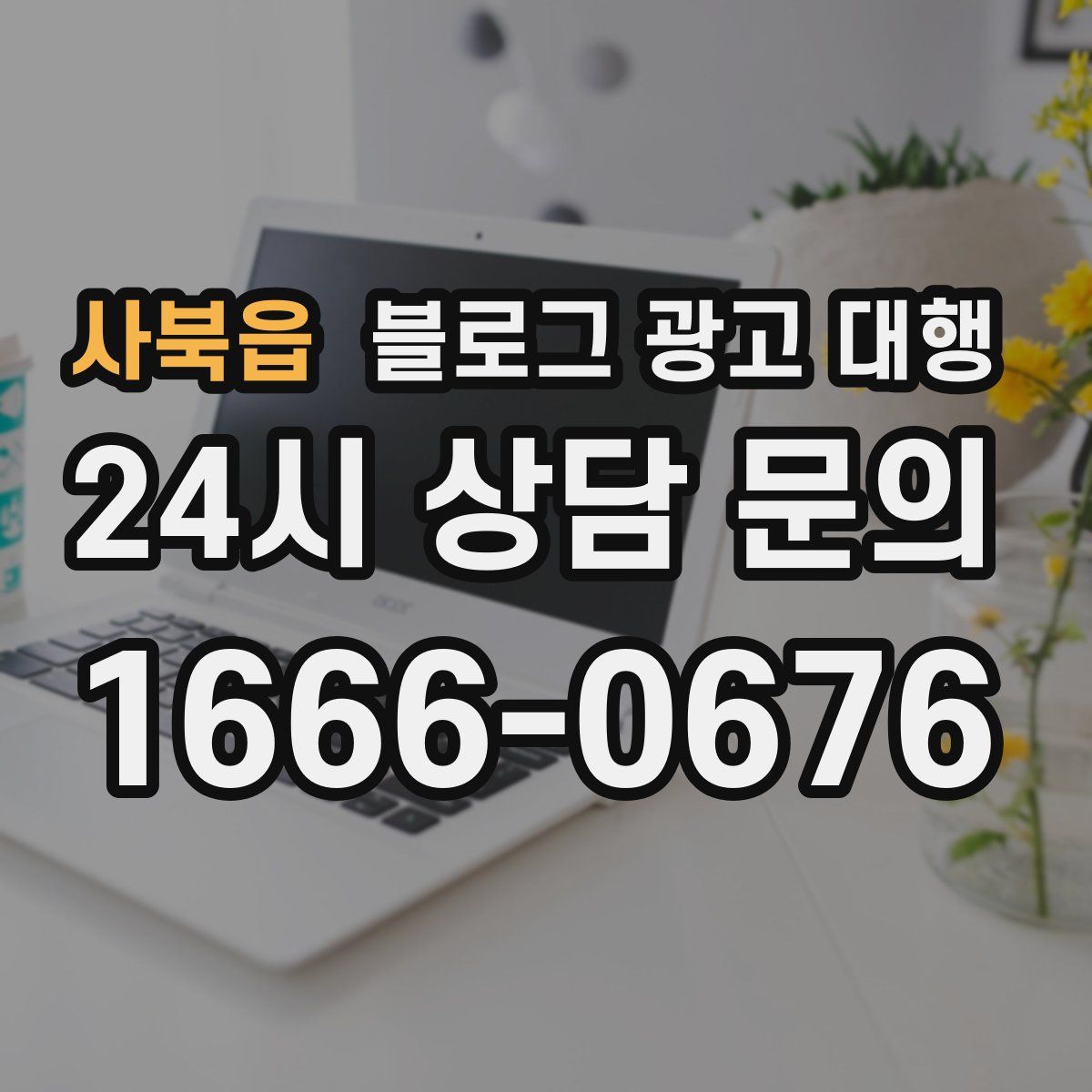 사북읍 블로그 광고 대행