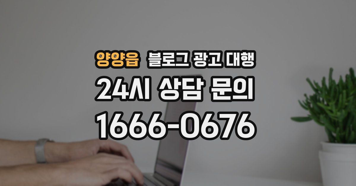 양양읍 블로그 광고 대행