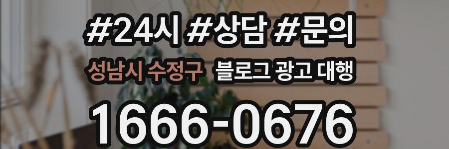 성남시 수정구 블로그 광고 대행