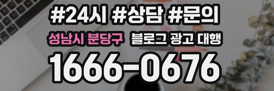 성남시 분당구 블로그 광고 대행