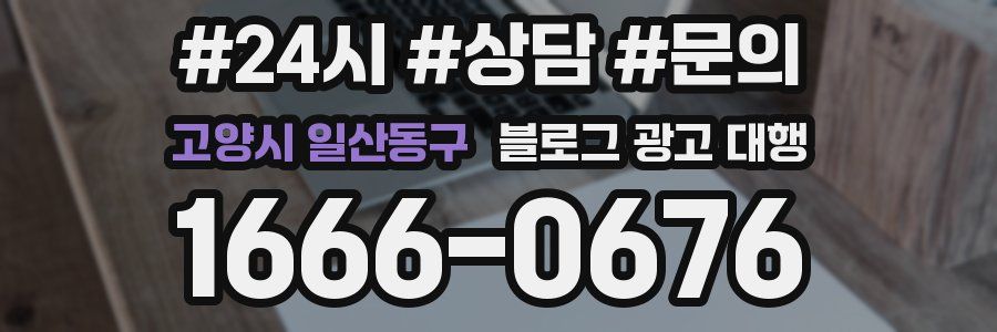 고양시 일산동구 블로그 광고 대행
