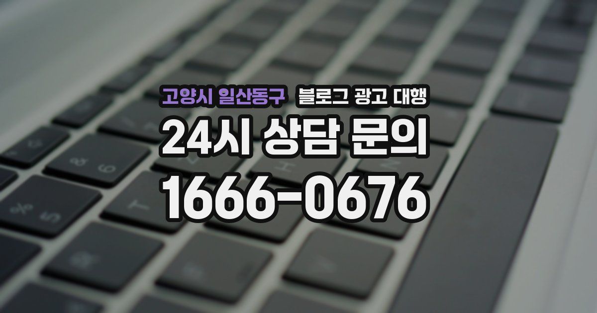고양시 일산동구 블로그 광고 대행