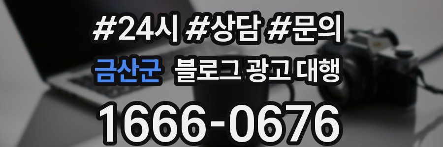 금산군 블로그 광고 대행