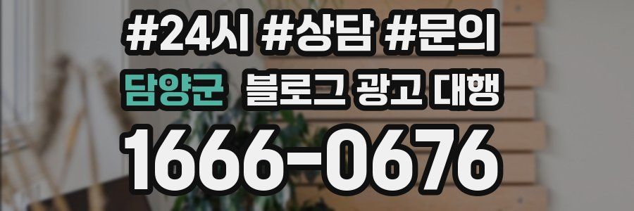 담양군 블로그 광고 대행