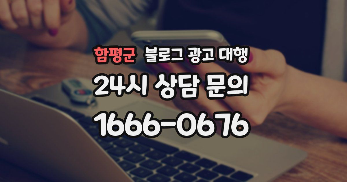 함평군 블로그 광고 대행
