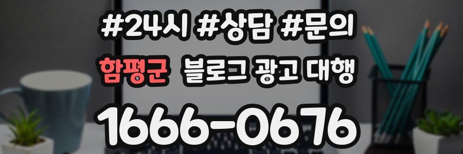 함평군 블로그 광고 대행