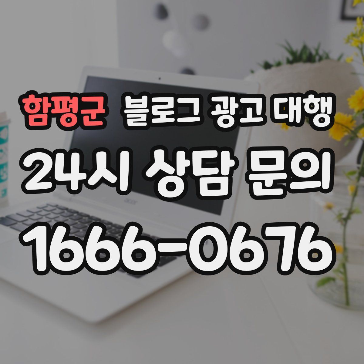 함평군 블로그 광고 대행