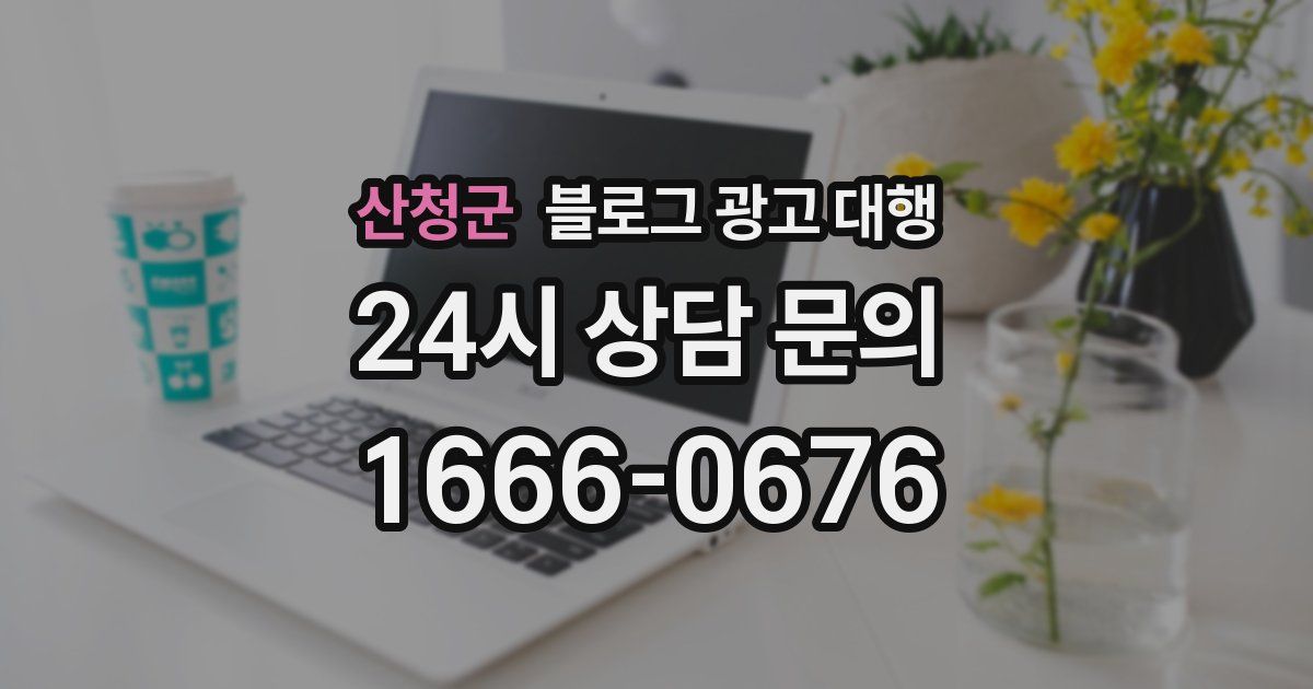 산청군 블로그 광고 대행
