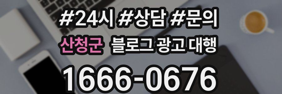 산청군 블로그 광고 대행