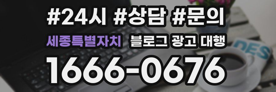 세종특별자치 블로그 광고 대행