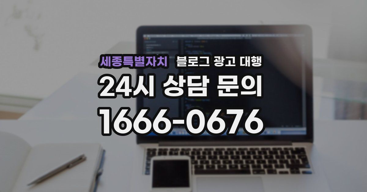 세종특별자치 블로그 광고 대행