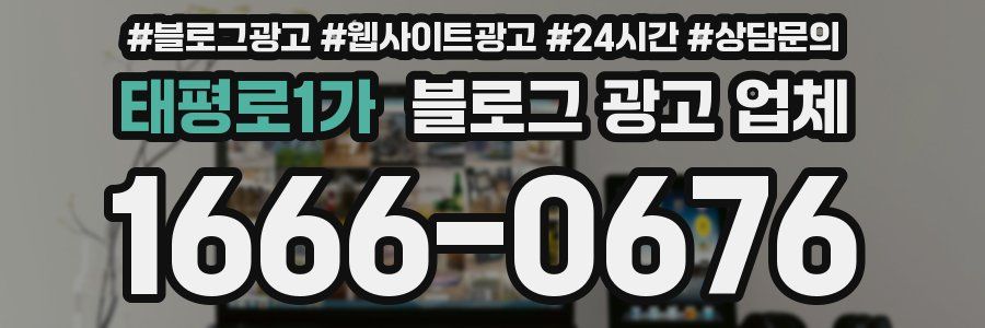 태평로1가 블로그 광고 업체