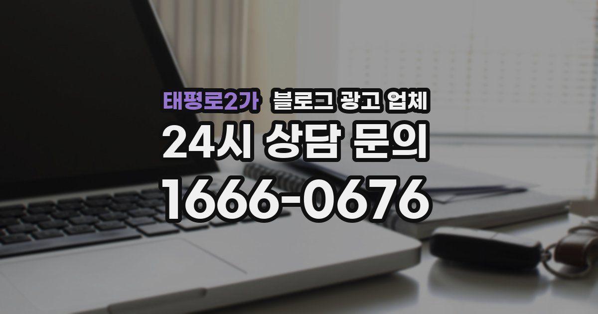 태평로2가 블로그 광고 업체