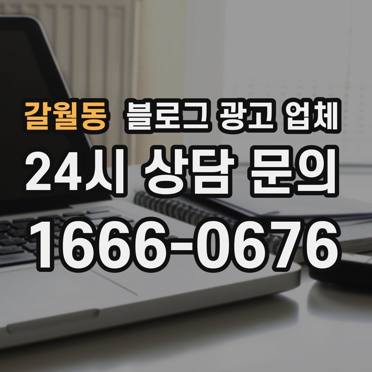갈월동 블로그 광고 업체 포트폴리오에서 확인할 내용