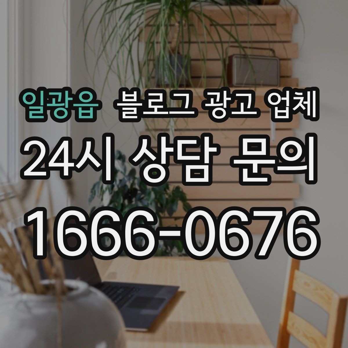 일광읍 블로그 광고 업체 선택할 때 자주 하는 실수