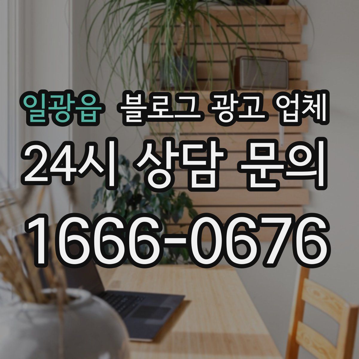 일광읍 블로그 광고 업체