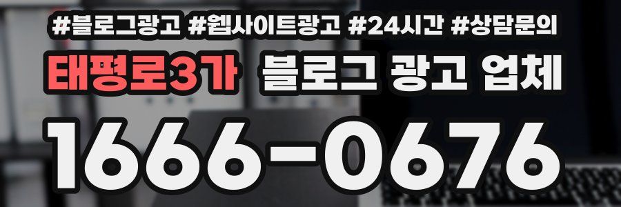 태평로3가 블로그 광고 업체