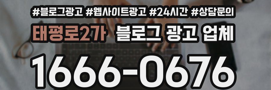 태평로2가 블로그 광고 업체