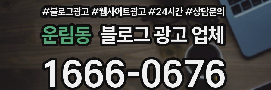 운림동 블로그 광고 업체