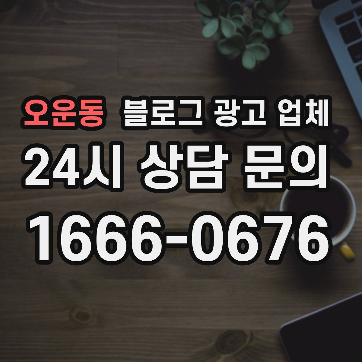오운동 블로그 광고 업체 사례 분석으로 보는 선택 기준