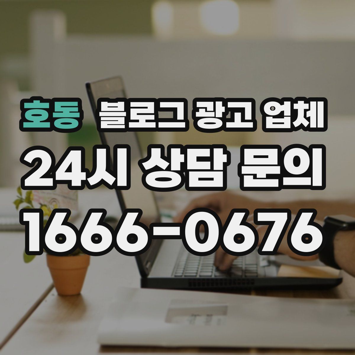 호동 블로그 광고 업체