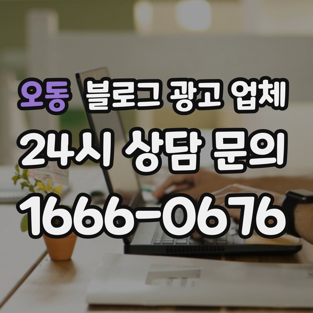오동 블로그 광고 업체