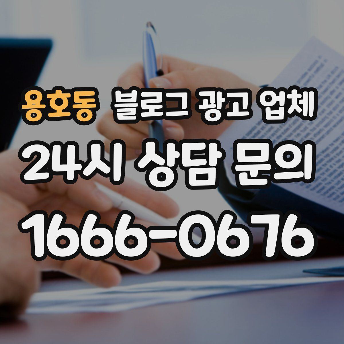 용호동 블로그 광고 업체