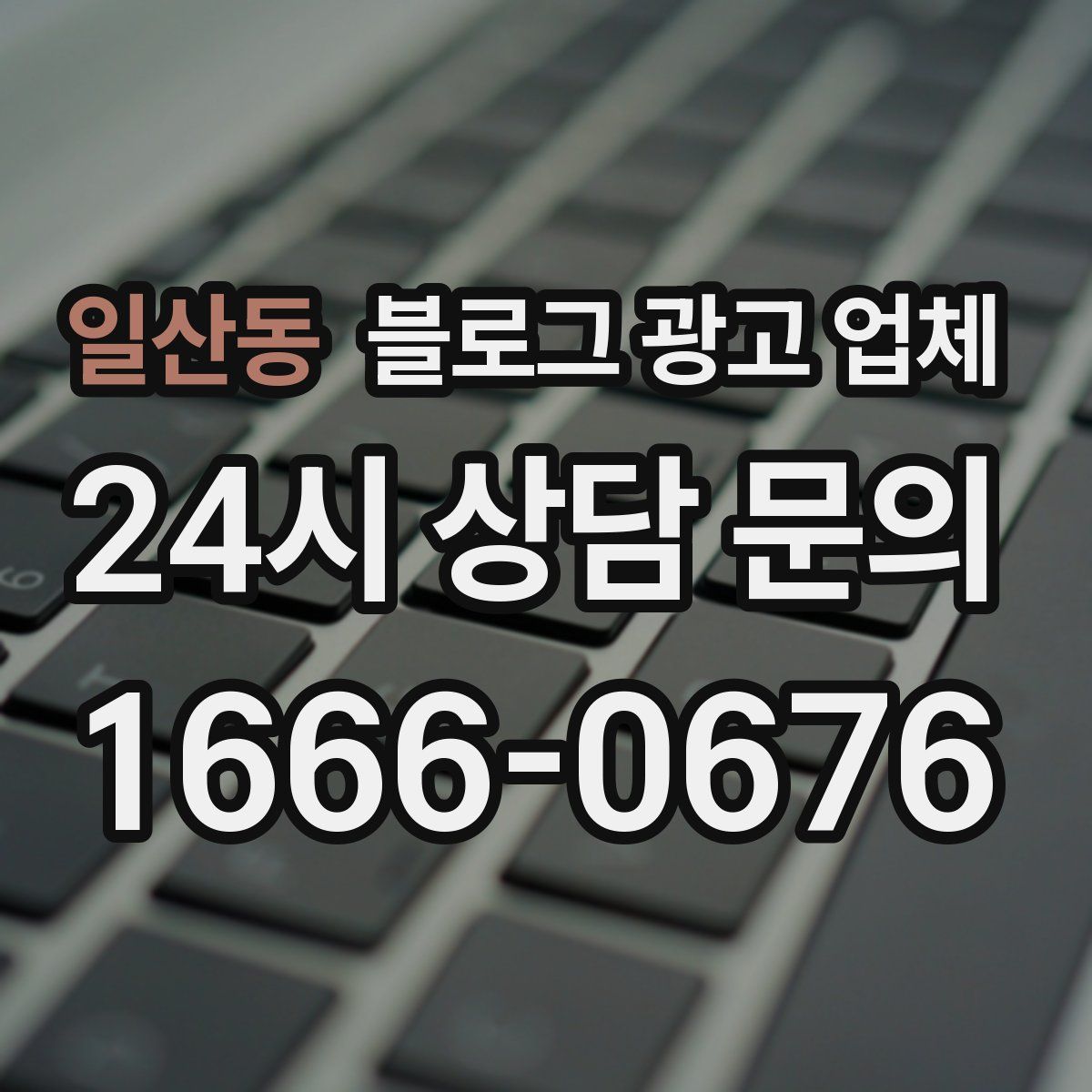 일산동 블로그 광고 업체