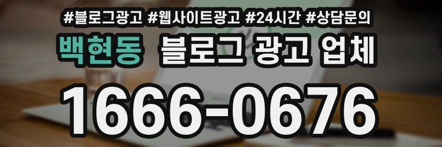 백현동 블로그 광고 업체