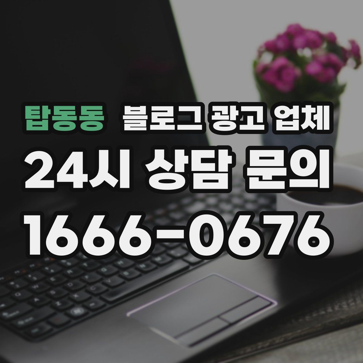 탑동동 블로그 광고 업체