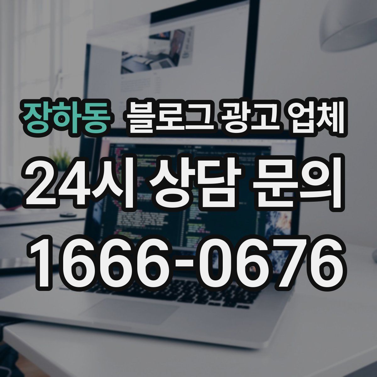 장하동 블로그 광고 업체