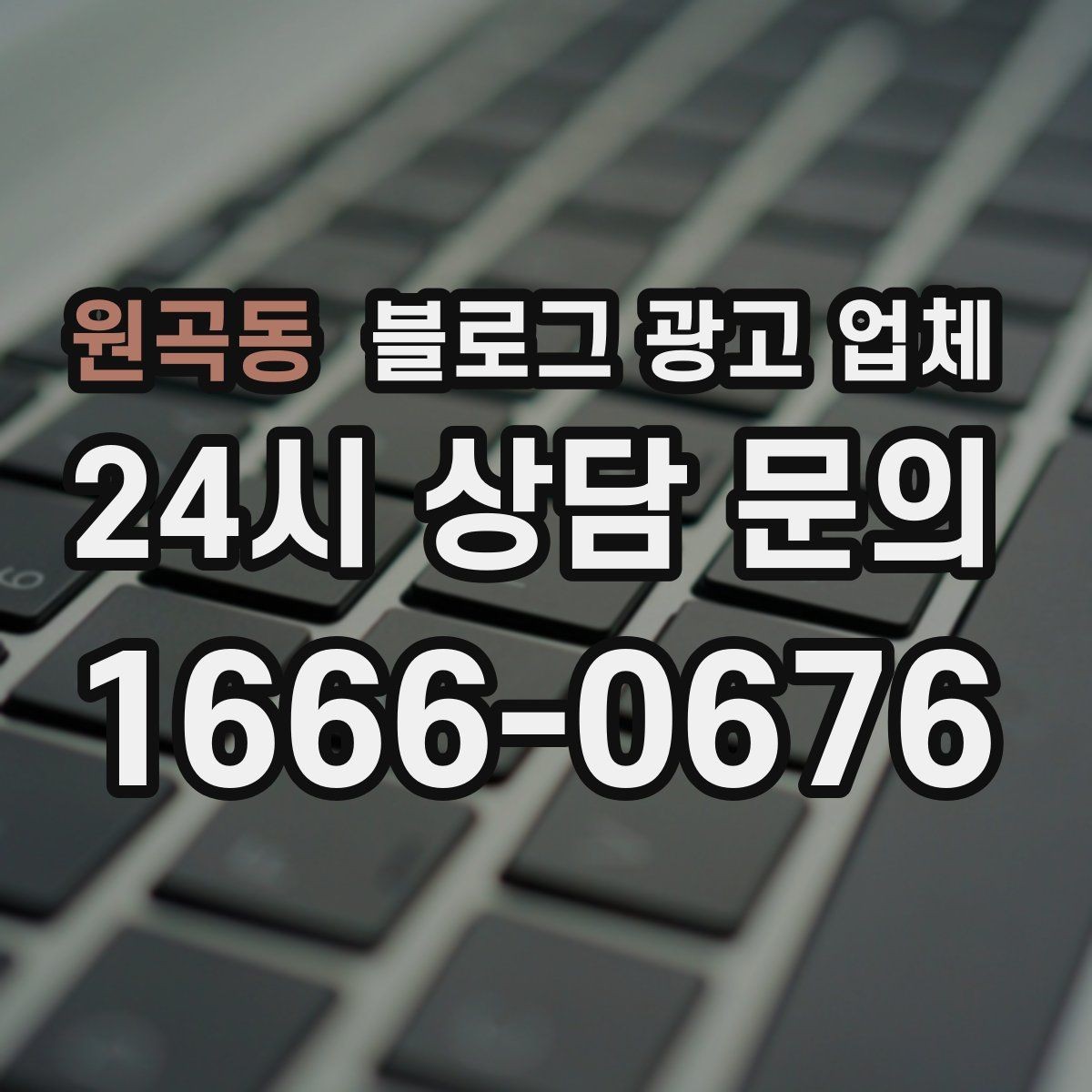 원곡동 블로그 광고 업체 비교할 때 보는 핵심 포인트