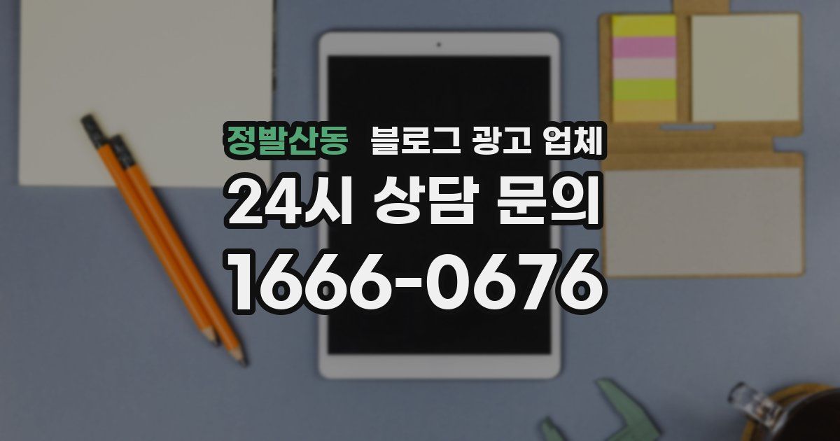 정발산동 블로그 광고 업체