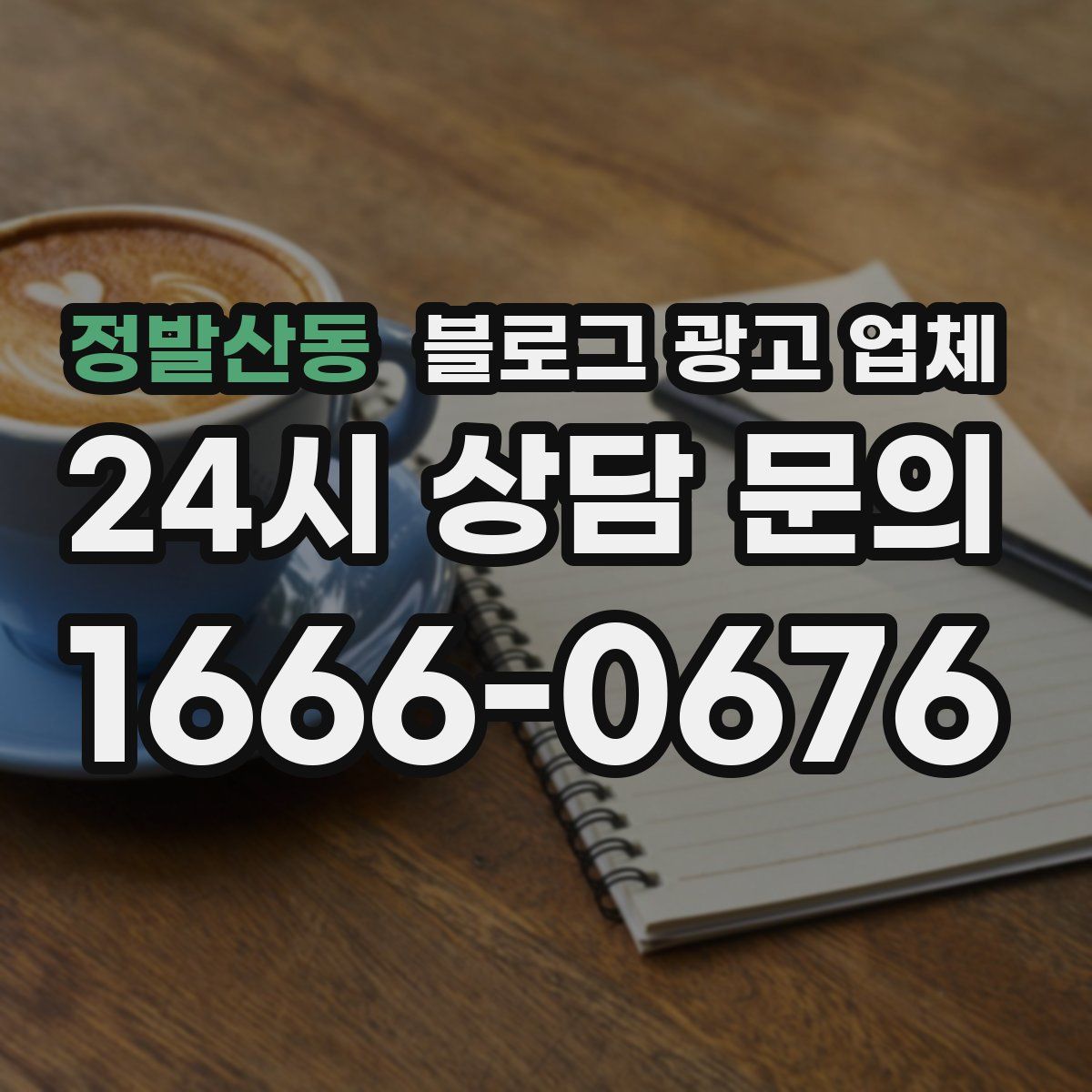 정발산동 블로그 광고 업체