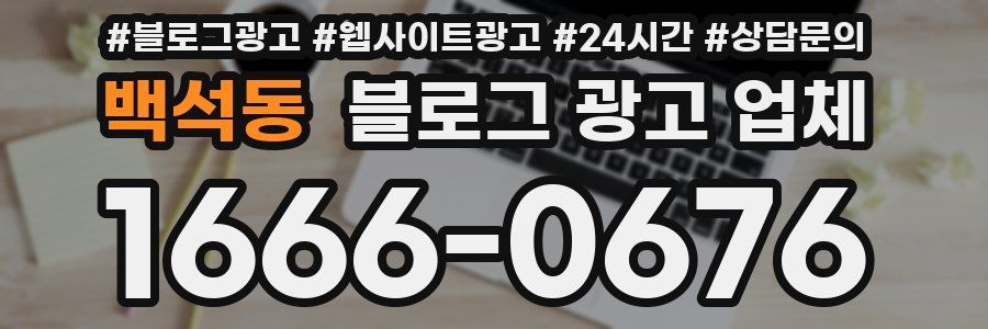 백석동 블로그 광고 업체